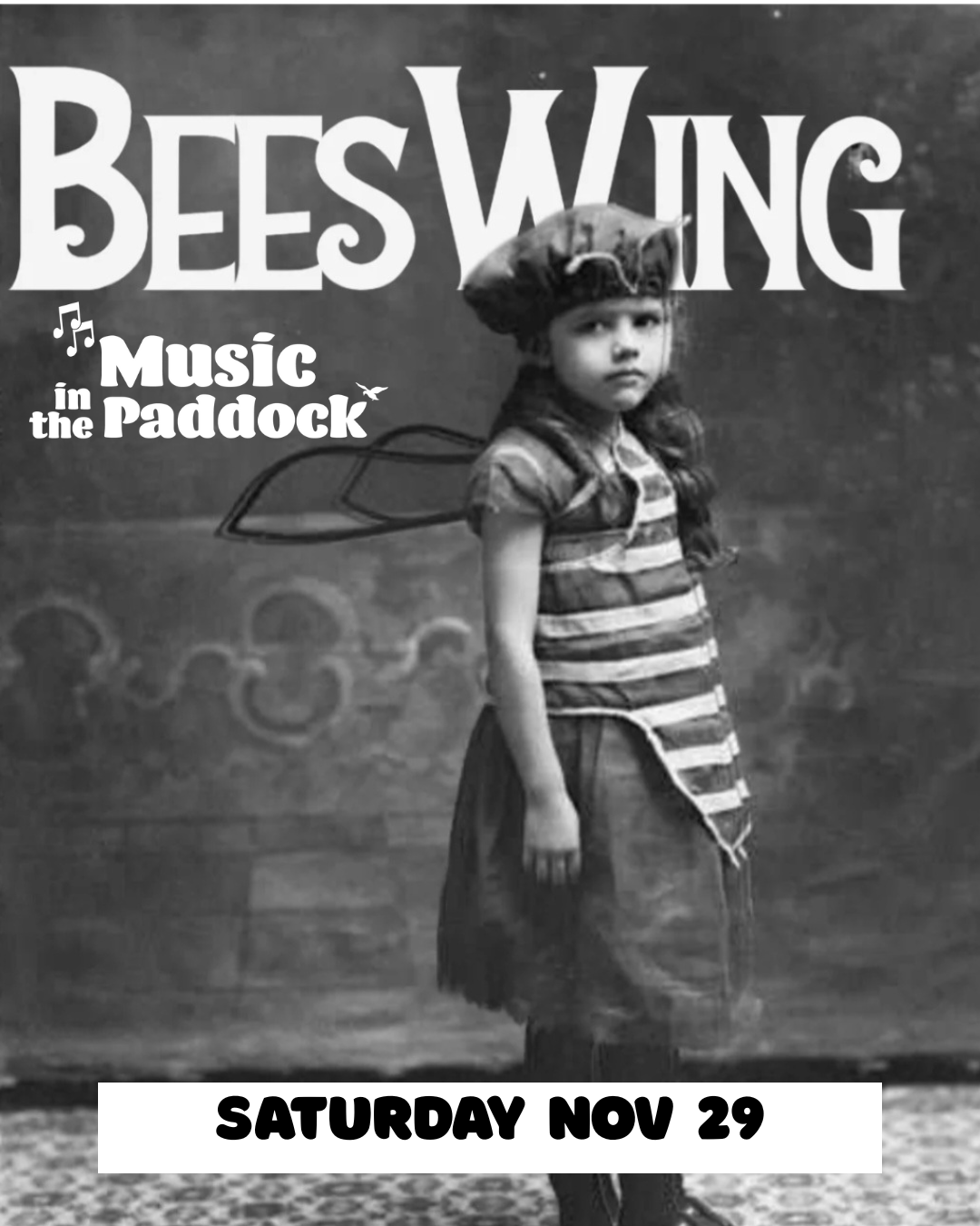 Music in the Paddock with BeesWing