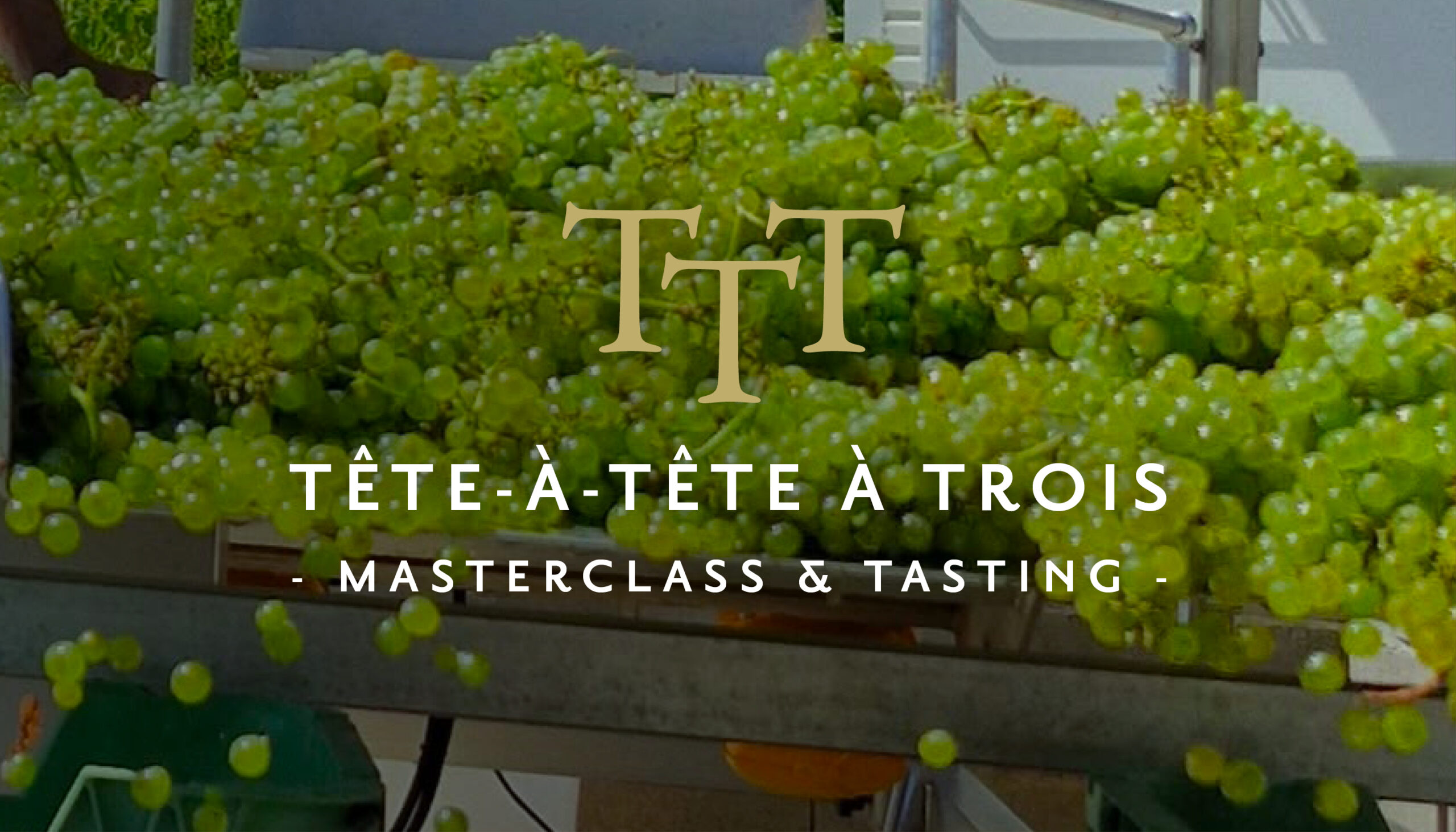 Tête à Tête à Trois Masterclass in the Winery – 17 October